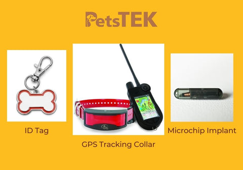 Dog ID Tag, GPS Collar, and Microchip Implant