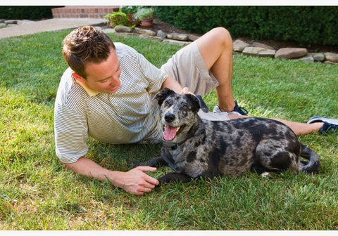 Dog Owner and Dog with Bark Collar Lying on Grass