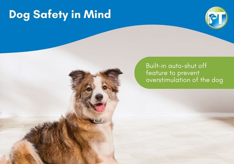 Dog Safety in Mind Illustration