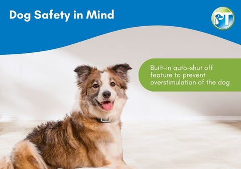 Dog Safety in Mind Illustration