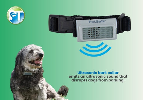 Dog Wearing a Ultrasonic Bark Collar with Text