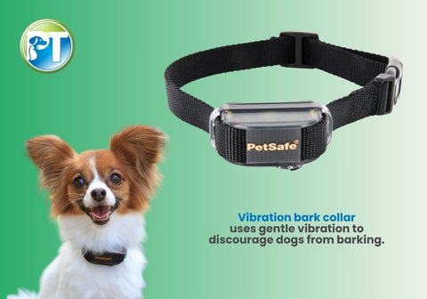 Dog Wearing a Vibration Bark Collar with Text_Blog_2024.04.11