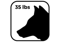 Dog Weight Icon