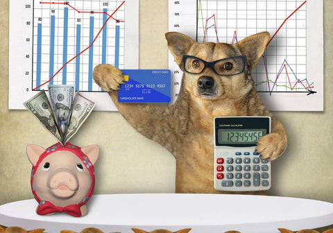 Dog with Credit Card and Calculator