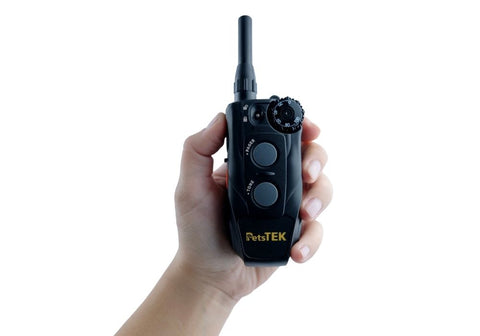 Dogtra 200NCPT Remote Transmitter Held by Hand