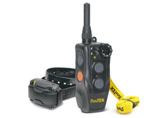 Dogtra 200NCPT Remote and Receiver Collar Set