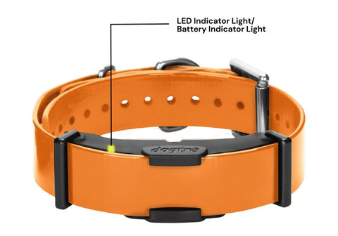 Dogtra Collar with Labeled Indicator Light