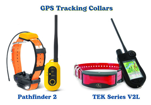 Dogtra Pathfinder 2 and SportDog TEK Series V2L GPS Collars