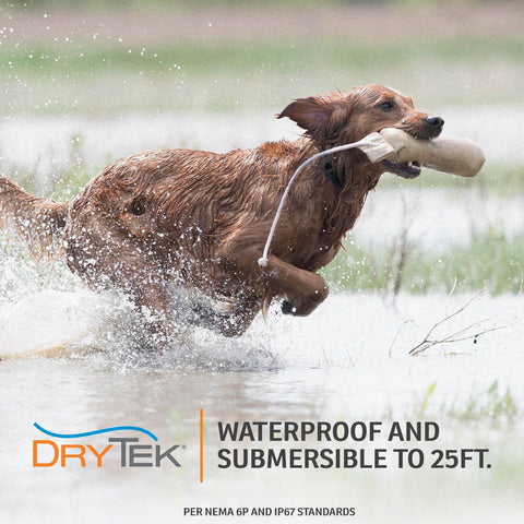 SportDog No Bark Collar DryTek Waterproof Technology