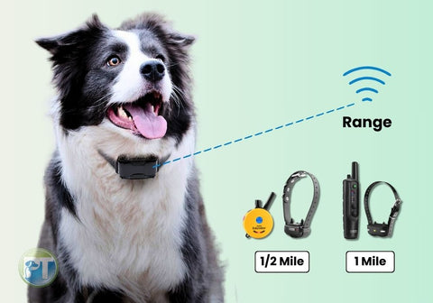 E-Collar Range Illustration