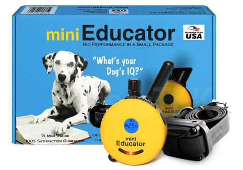 The Complete Guide to Using the ET-300 Mini Educator by E-Collar Technologies