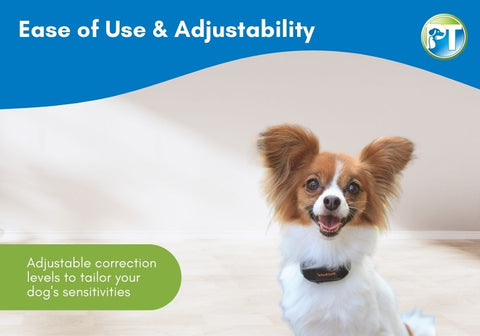 Ease of Use and Adjustability Illustration