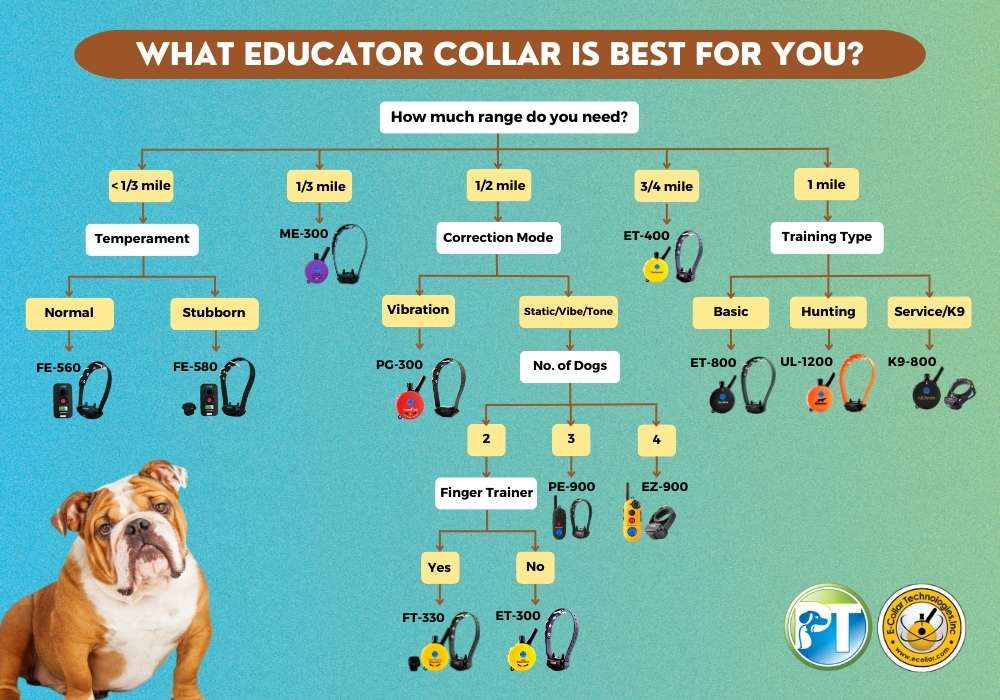 Educator Collar Buying Guide Flow Chart