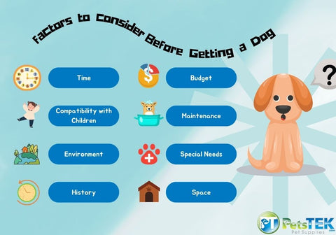 Factors to Consider Before Getting a Dog