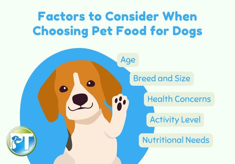 Factors to Consider When Choosing Pet Food Chart