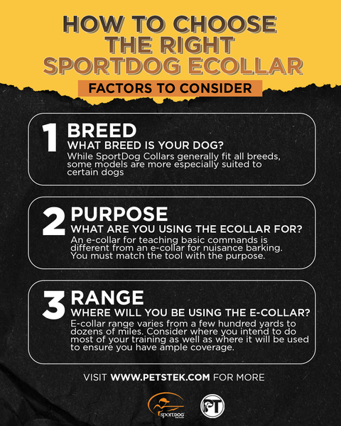 SportDOG SportTrainer Remote Dog Training Collar, 1/2 Mile Range