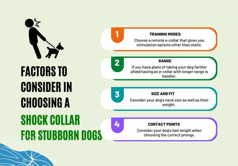 Factors to Consider in Choosing a Shock Collar for Stubborn Dogs