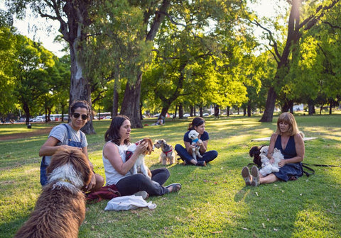 Female Dog Owners Sitting with Their Pets in the Park
