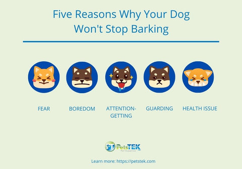 Five Reasons Why Your Dog Won't Stop Barking Infographic