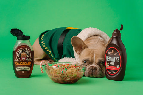 French Bulldog Looking at Bowl of Sweets Beside Chocolate Syrup