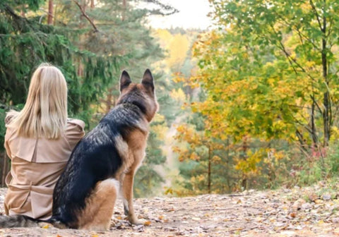 German Shepherd and Woman in Forest