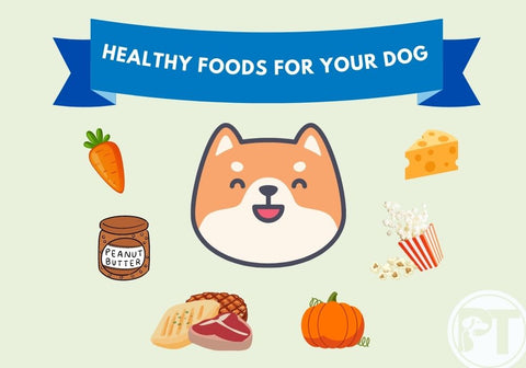 Healthy Foods For Your Dog