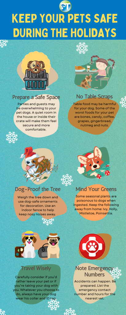 Holiday Pet Safety Infographic