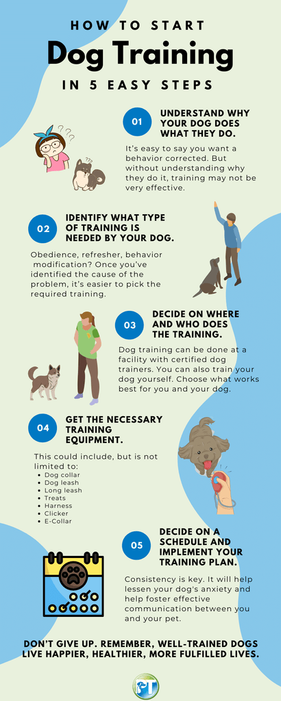 How To Start Dog Training Infographic