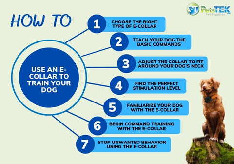 How To Use An E-Collar To Train Your Dog