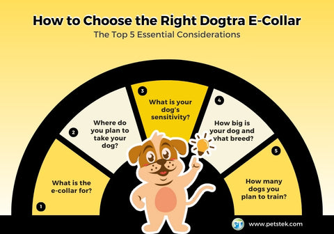 How to Choose the Right Dogtra E-Collar Chart
