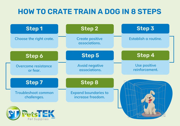 How to Crate Train a Dog in 8 Steps