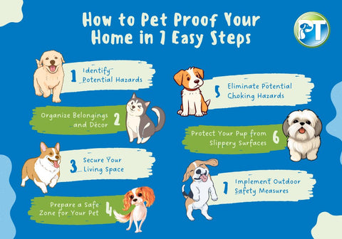 How to Pet Proof Your Home in 7 Easy Steps Infographic