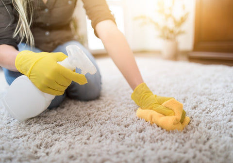 Human Cleaning Carpet with Spray Bottle and Cloth