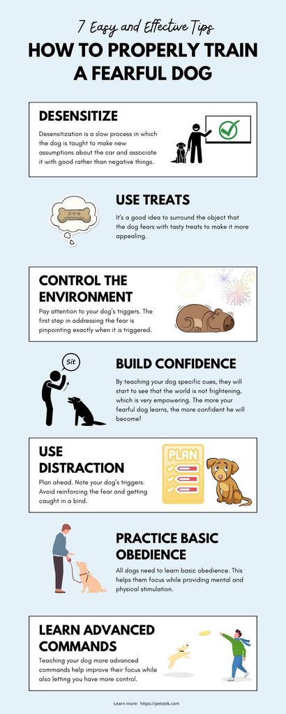 Illustrated Training Tips for Fearful Dogs Infographic