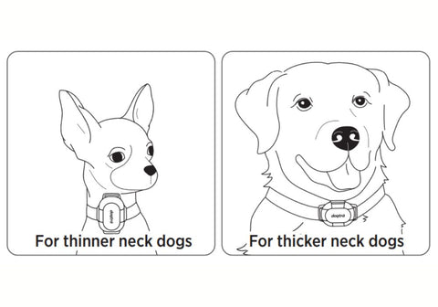Illustration of Dogtra CUE Receiver Orientation per Neck Size