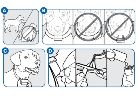 Illustration on How  to Fit the Remote Spray Trainer Collar