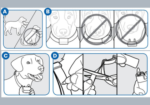 Illustration on How to Fit the Smart Dog Trainer Collar