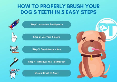 Illustration on How to Properly Brush your Dog's Teeth