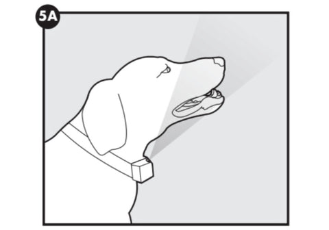 Illustration on Proper Spray Pattern of the PetSafe Remote Spray Trainer