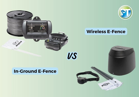 In-Ground vs Wireless E-Fence Illustration