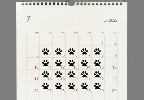July 2022 Calendar with Paw Prints