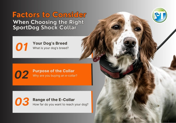 Key Considerations When Choosing the Right SportDog Shock Collar