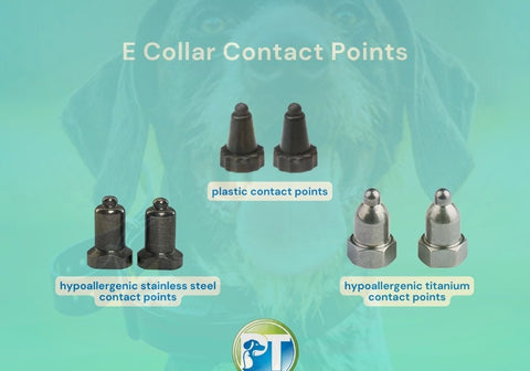 Kinds of E Collar Contact Points