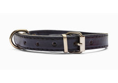 Leather Dog Collar Strap