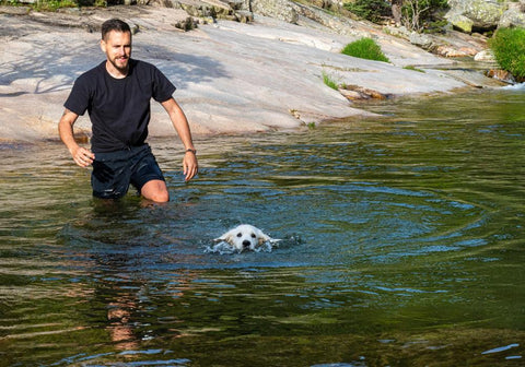 Man Letting Puppy Swim on Its Own