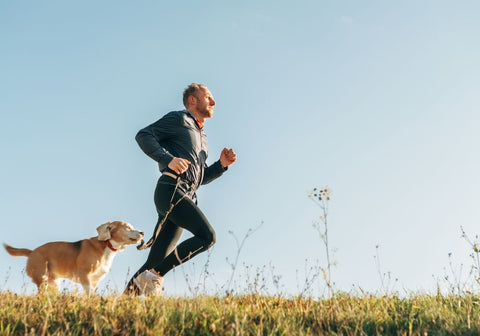Man Runs with His Beagle Dog