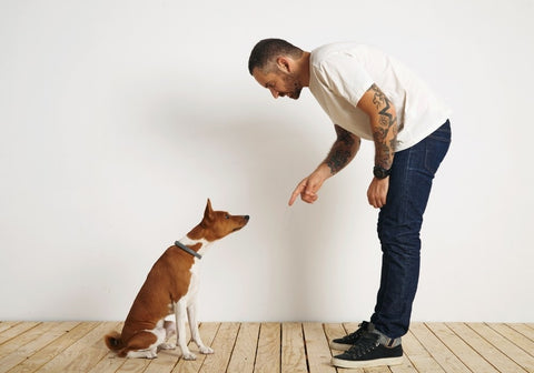 Man Teaching Dog to Sit