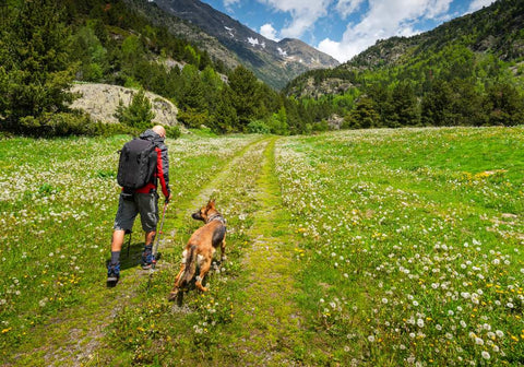 Man and Dog on a Hiking Adventure