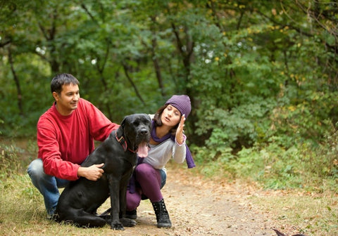 Man and Woman Petting a Black Lab