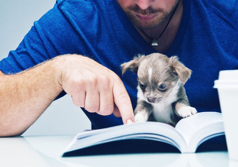 Man in Blue Teaching Puppy How to Read